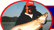 Cave Run Lake Kentucky Muskie Fishing and Turkey Hunting Guide Service and Kentucky Mountain Muskie Fishing